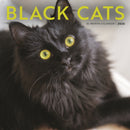 Black Cats Square Wall Sunday Start Cale-9781529852516