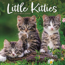 Little Kitties Square Wall Sunday Start-9781529852523