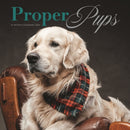 Proper Pups Square Wall Proper Pupssunda-9781529852653