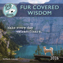 Dog Is Good Fur Covered Wisdom Square Mi-9781529853544