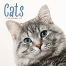 Cats Square Wall Sunday Start Calendar 2-9781529896602