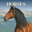 Horses Square Mini Sunday Start Calendar-9781529897135