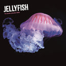 Jellyfish Square Wall Sunday Start Calen-9781529897241