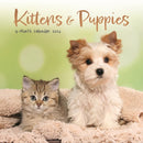 Kittens Puppies Square Mini Sunday Start-9781529897319
