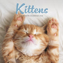 Kittens Square Mini Sunday Start Calenda-9781529897326