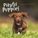 Playful Puppies Square Wall Sunday Start-9781529897906