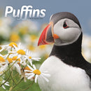 Puffins Square Wall Sunday Start Calenda-9781529897944