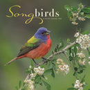 Songbirds Square Wall Sunday Start Calen-9781529898170
