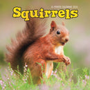 Squirrels Square Wall Sunday Start Calen-9781529898255