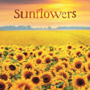 Sunflowers Square Wall Sunday Start Cale-9781529898316