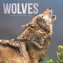 Wolves Square Wall Sunday Start Calendar-9781529898576
