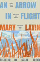 An Arrow in Flight
