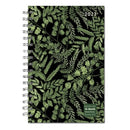 DESIGNER FANCY FERNS-9781531917586