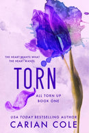 Torn-9781538765982