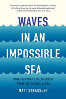 Waves in an Impossible Sea : How Everyday Life Emerges from the Cosmic Ocean-9781541603370