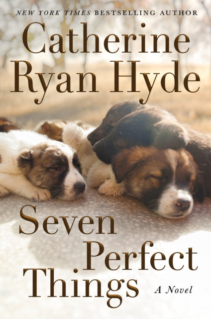 Seven Perfect Things : A Novel-9781542021548