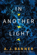 In Another Light : A Novel-9781542031103