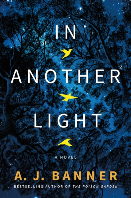 In Another Light : A Novel-9781542031103