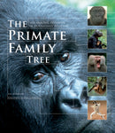 The Primate Family Tree : The Amazing Diversity of Our Closest Relatives-9781554079643