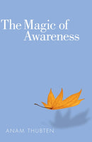 The Magic of Awareness-9781559393928