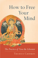 How to Free Your Mind : The Practice of Tara the Liberator-9781559393980