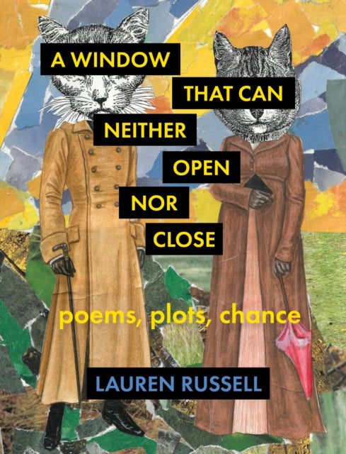 A Window That Can Neither Open Nor Close : Poems, Plots, Chance-9781571315670