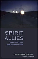 Spirit Allies : Meet Your Team from the Other Side-9781578632145