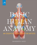 Basic Human Anatomy : An Essential Visual Guide for Artists-9781580934381