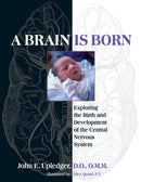 A Brain Is Born : Exploring the Birth and Development of the Central Nervous System-9781583943014