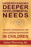 Understanding Deeper Developmental Needs : Holistic Approaches for Challenging Behaviors in Children-9781584209508