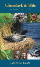 Adirondack Wildlife – A Field Guide