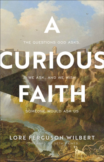 A Curious Faith - The Questions God Asks, We Ask, and We Wish Someone Would Ask Us-9781587435690