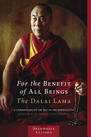 For the Benefit of All Beings : A Commentary on the Way of the Bodhisattva-9781590306932