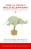 How to Train a Wild Elephant : And Other Adventures in Mindfulness-9781590308172