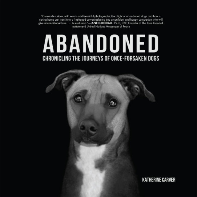 Abandoned : Chronicling the Journeys of Once-Forsaken Dogs-9781590567302