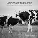 Voices of the Herd : Portraits of Rescued Cows and Their Sanctuary Stories-9781590567517