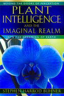 Plant Intelligence and the Imaginal Realm : Beyond the Doors of Perception into the Dreaming of Earth-9781591431350