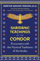 Shamanic Teachings of the Condor