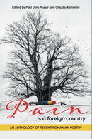Pain Is a Foreign Country