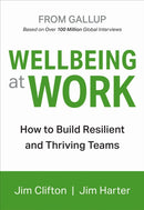 Wellbeing At Work-9781595622419