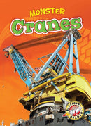 Cranes-9781600149368