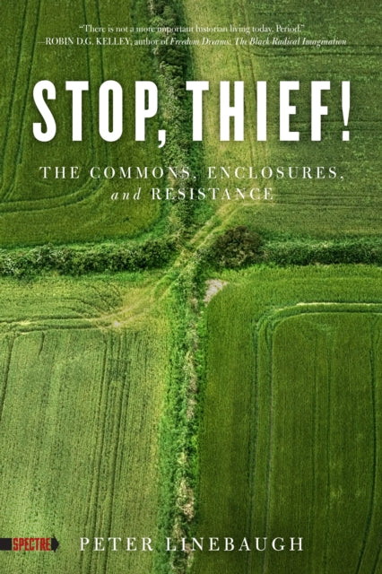 Stop, Thief! : The Commons, Enclosures, And Resistance-9781604867473