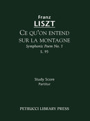 Ce qu''on entend sur la montagne, S.95