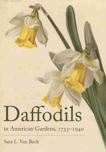 Daffodils in American Gardens, 1733–1940