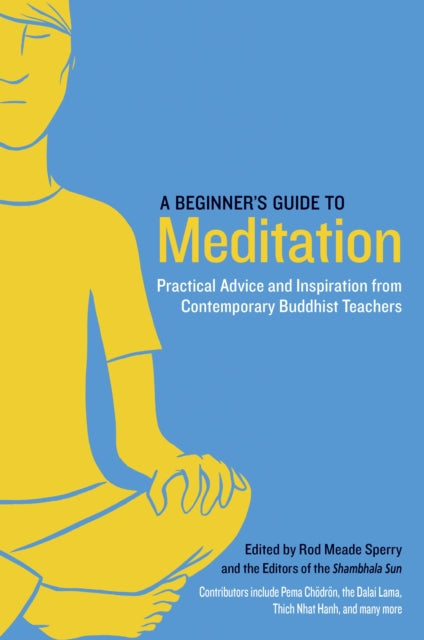 A Beginner's Guide to Meditation : Practical Advice and Inspiration from Contemporary Buddhist Teachers-9781611800579