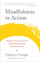 Mindfulness in Action : Making Friends with Yourself through Meditation and Everyday Awareness-9781611803532