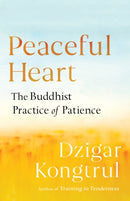 Peaceful Heart : The Buddhist Practice of Patience-9781611804645