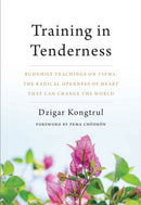 Training in Tenderness : Buddhist Teachings on Tsewa, the Radical Openness of Heart That Can Change the World-9781611805581