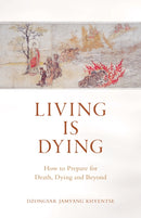 Living is Dying : How to Prepare for Death, Dying and Beyond-9781611808070