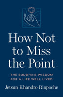 How Not to Miss the Point : The Buddha's Wisdom for a Life Well Lived-9781611808568
